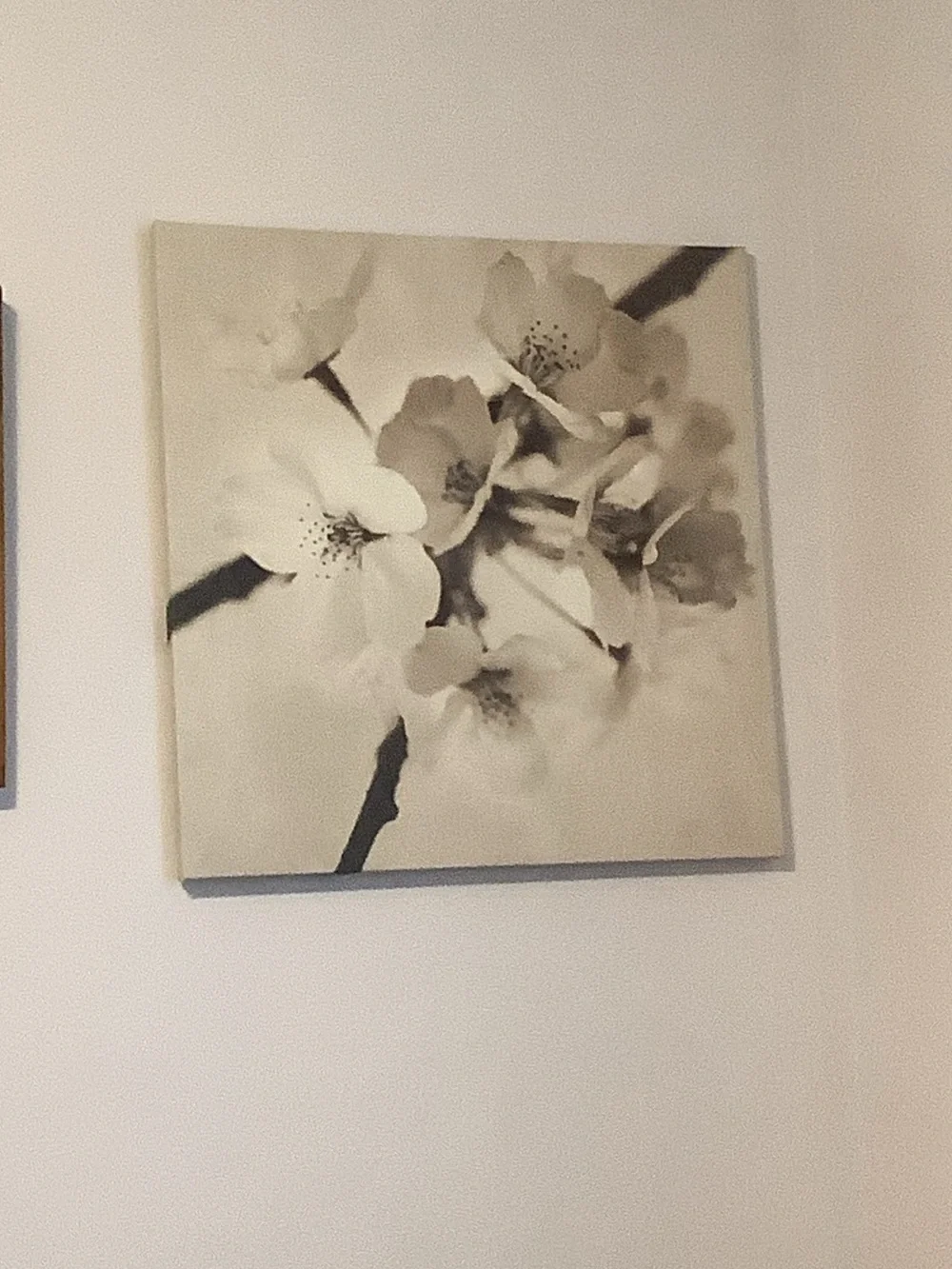 IKEA Neutral Floral Canvas Art - White and Gray
